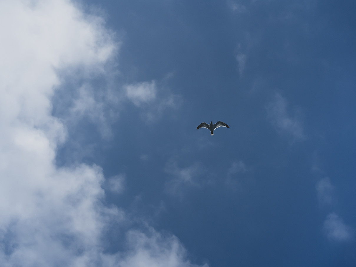 Mar Amar Boat Sorrento